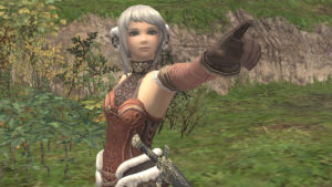 FFXI Adoulin 1